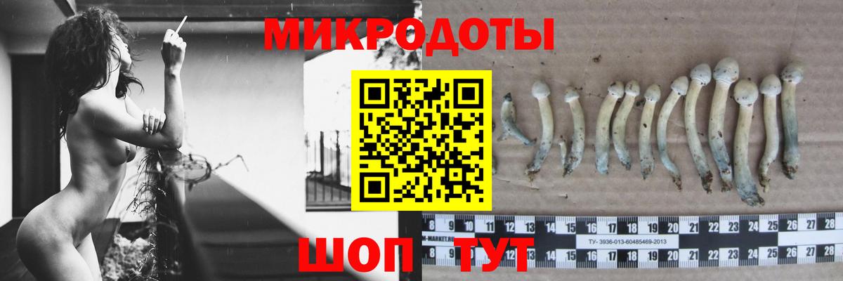 продажа наркотиков  Галлюциногенные грибы прущие грибы  Вход с VPN  Кизилюрт  Псилоцибиновые грибы Cubensis 